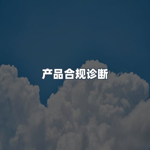 服务优势